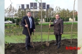 LƏNKƏRANDA  ƏDLİYYƏ  İŞÇİLƏRİ  PEŞƏ  BAYRAMLARI  ƏRƏFƏSİNDƏ  “YAŞIL MARAFON”A  QOŞULUBLAR