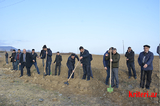 Ağstafa Regional Mədəniyyət İdarəsinin əməkdaşları genişmiqyaslı ağacəkmə kampaniyasına qoşulublar
