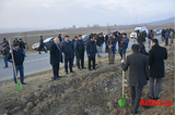 Ağstafa Regional Mədəniyyət İdarəsinin əməkdaşları genişmiqyaslı ağacəkmə kampaniyasına qoşulublar